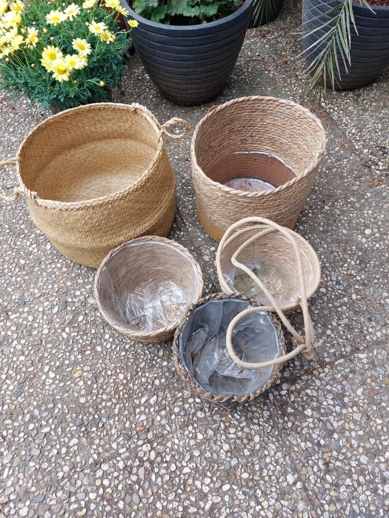 Diverse rieten manden voor planten of opslag, Tuin en Terras, Ophalen, Overige materialen, Gebruikt, Minder dan 30 cm