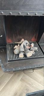 Gashaard, Huis en Inrichting, Haarden, Ophalen, Gebruikt, Vrijstaande haard, Overige soorten