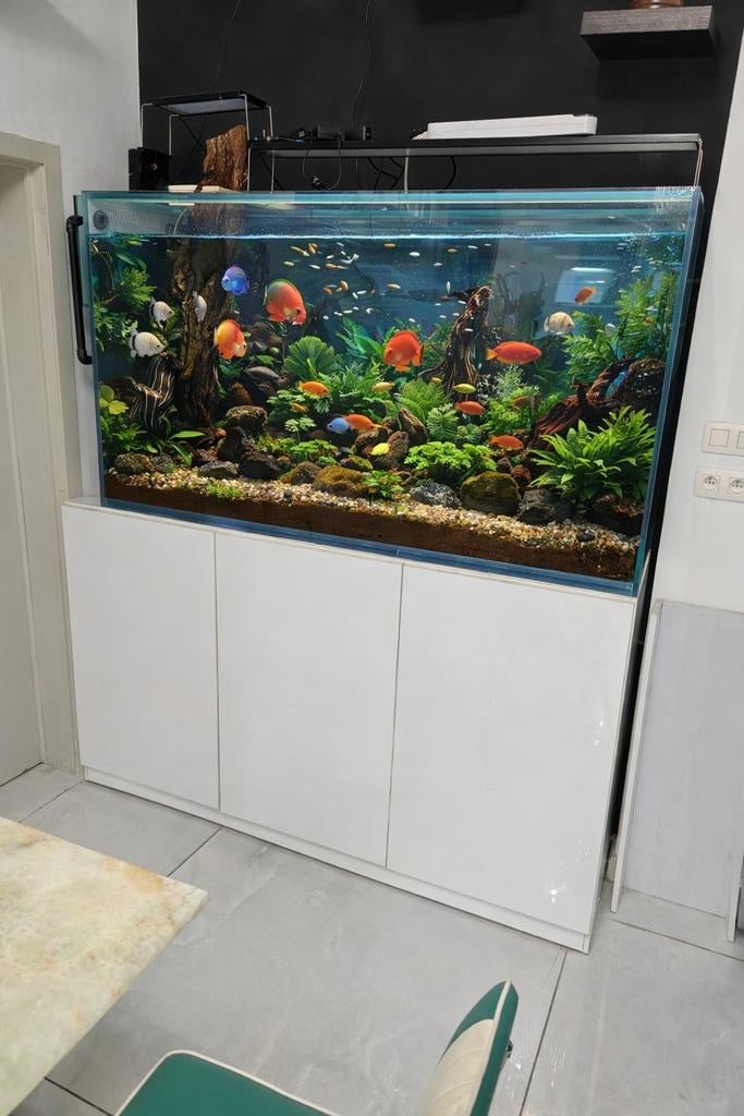 Groot maatwerk aquarium 700L – 15mm glas, Ophalen, Zo goed als nieuw, Leeg aquarium
