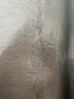 Nieuw Fluffy Taupe Vloerkleed 200x290cm, Ophalen, Beige, Nieuw, 200 cm of meer