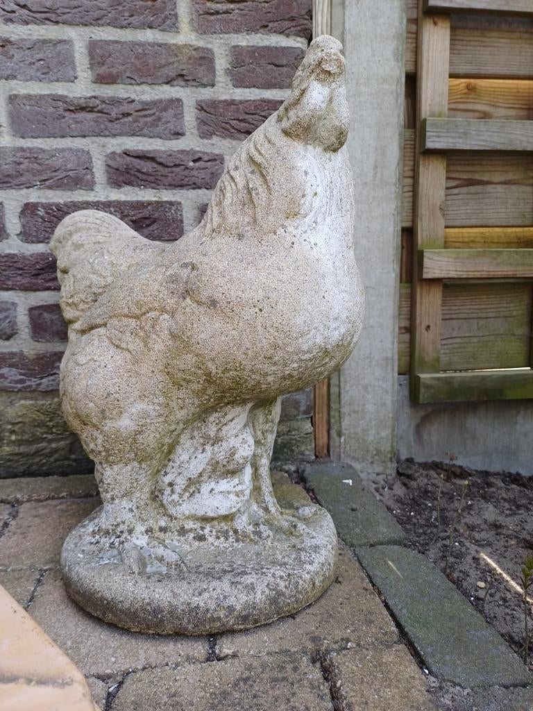 Betonnen haan tuindecoratie, Ophalen, Gebruikt, Beton, Dierenbeeld