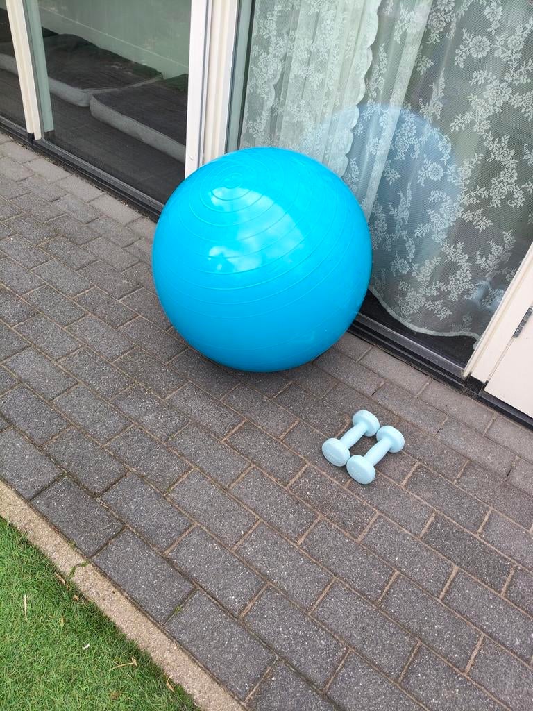 Fitnessbal en dumbbells, Ophalen of Verzenden, Dumbbell