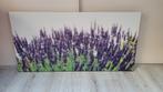Canvas doek lavendel, Ophalen, 50 tot 75 cm, 75 tot 100 cm, Print