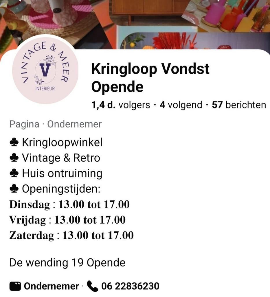 Huis leeghalen of woning ontruimen?, Diensten en Vakmensen, Verhuizers en Opslag