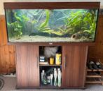 Juwel Rio 240 met z.g.a.n. ledarmatuur, Ophalen, Gevuld zoetwateraquarium