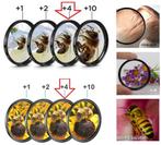 Macro +4 filter 77 mm close up lens Sony Canon Pentax Nikon, Ophalen of Verzenden, Nieuw, 70 tot 80 mm, Overige typen