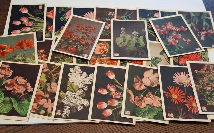 Pokon meststoffen voor bloemen en planten spaarkaarten, Verzamelen, Merken en Reclamevoorwerpen, Gebruikt, Ophalen of Verzenden