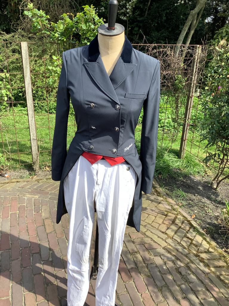 Kingsland slipjas dames navy 36, Dressuur, Nieuw, Ophalen of Verzenden, Dames