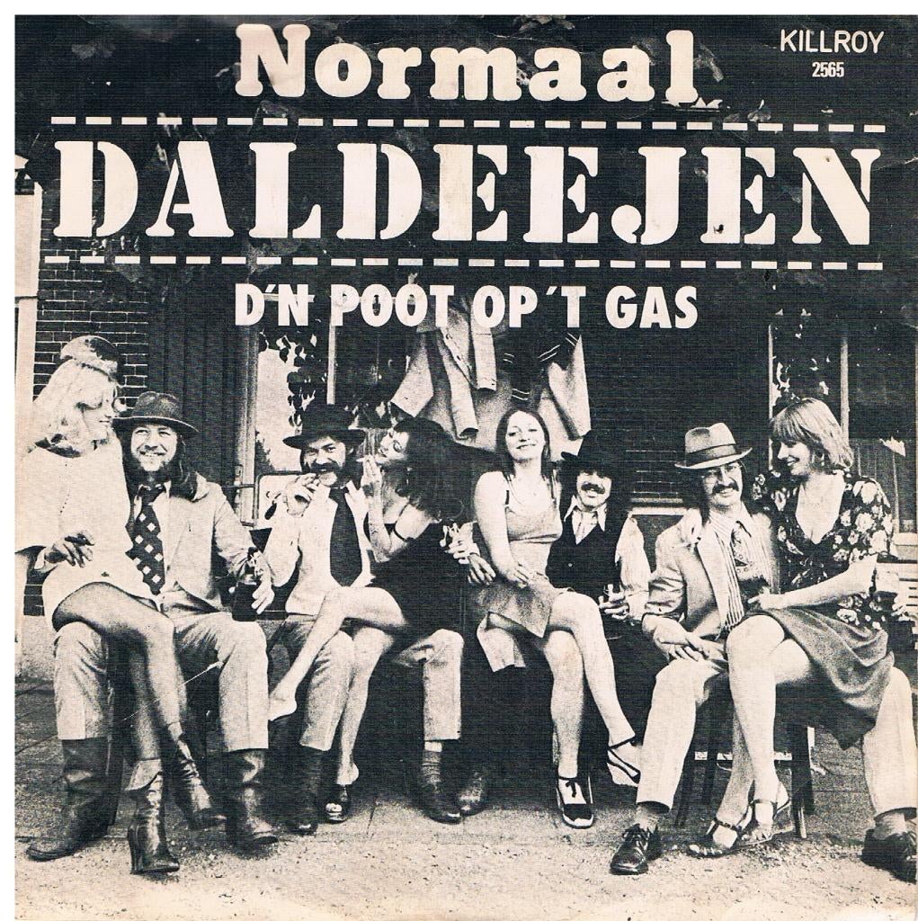 Normaal Daldeejen, Verzenden, Gebruikt, 12 inch, Rock