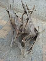 Mooi groot stuk kienhout/drijfhout, Dieren en Toebehoren, Ophalen, Zo goed als nieuw