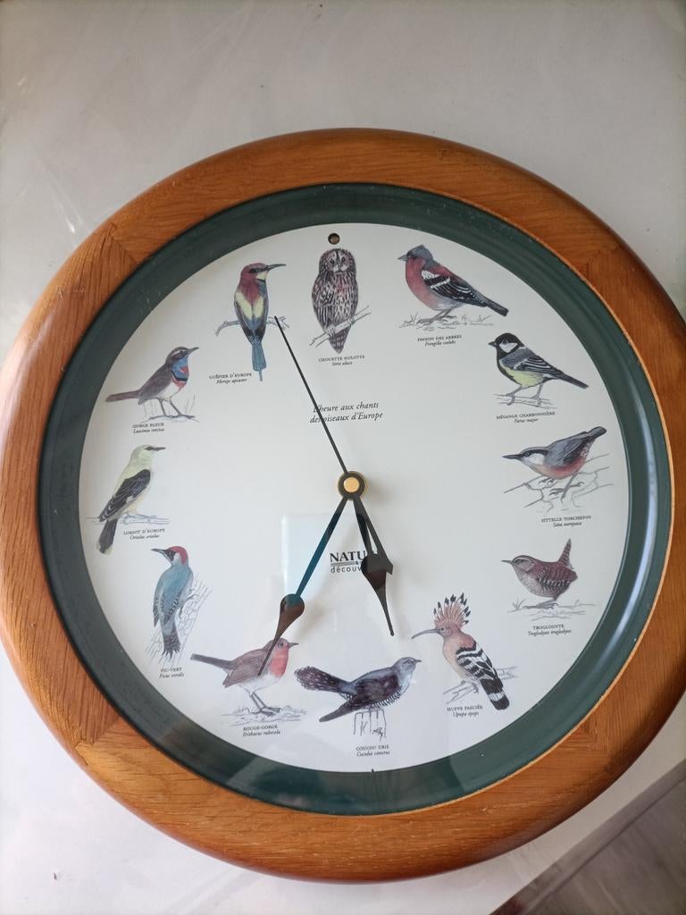 Uurwerk met vogelgeluiden., Ophalen of Verzenden