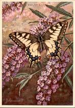 voor het kind, Koninginnepage op budleya, vlinder J Voerman, Verzenden, 1940 tot 1960, Ongelopen, Natuur
