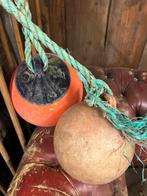 Bootboeien met touw, Ophalen of Verzenden, Gebruikt, Overige typen