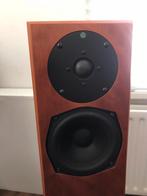 Totem sttaf acoustic Made in Canada, Overige merken, Gebruikt, Ophalen of Verzenden, 120 watt of meer