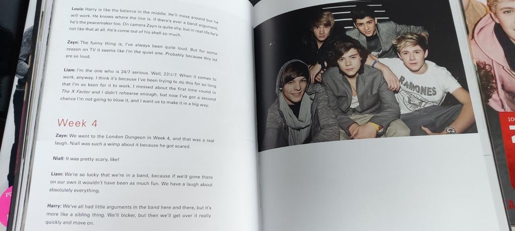 One Direction boek - In nieuwstaat, Ophalen of Verzenden, Zo goed als nieuw, Artiest, One Direction