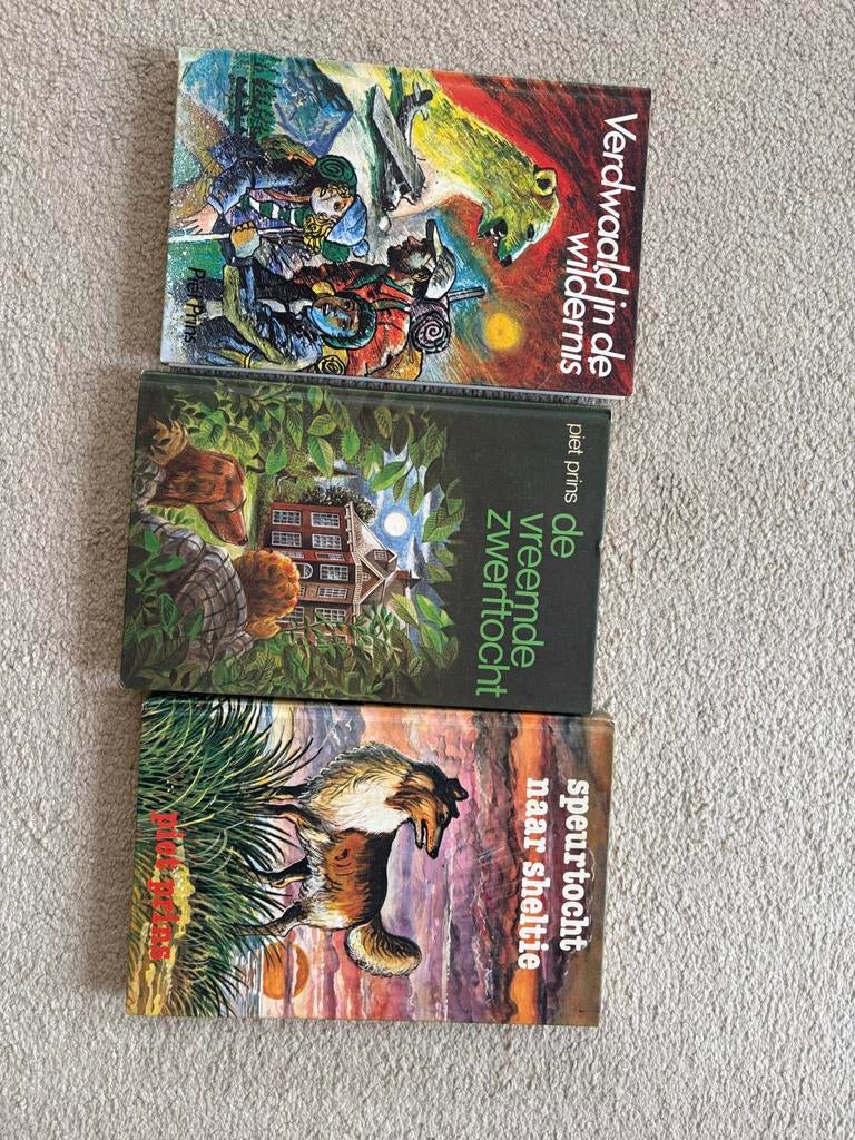Piet Prins jeugdboeken, Boeken, Ophalen of Verzenden, Gelezen, Fictie algemeen