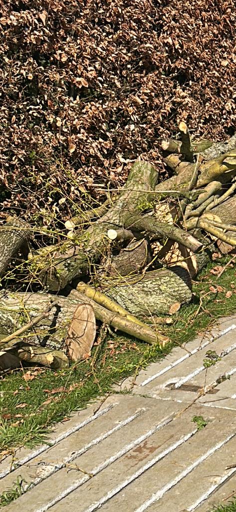 Te koop haardhout, 3 tot 6 m³, Ophalen