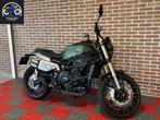 Benelli Leoncino 800 Trail, LED Verlichting, Bedrijf, Toermotor, Meer dan 35 kW