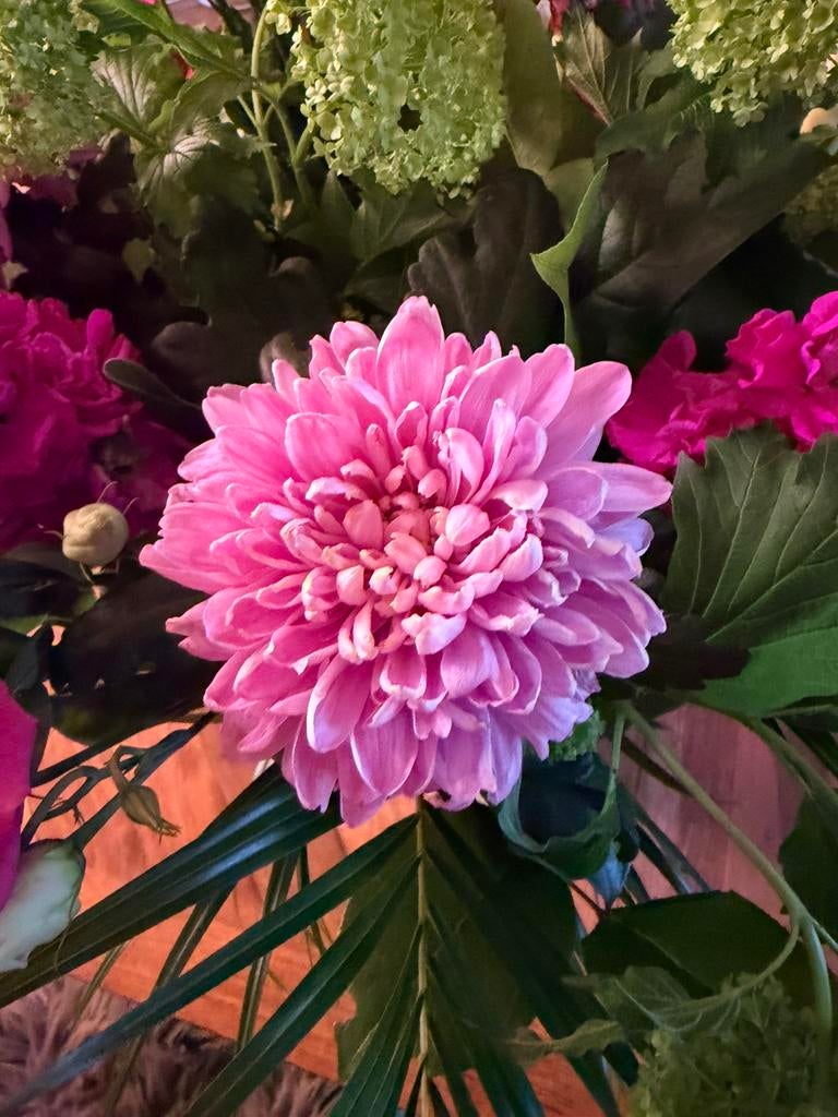 Entree kaarten libellebeurs Autotron Rosmalen, Tickets en Kaartjes, Beurzen, Twee personen