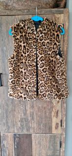 Mooi gilet met panterprint, Kleding | Dames, Ophalen of Verzenden, Zo goed als nieuw, Maat 42/44 (L), Bruin