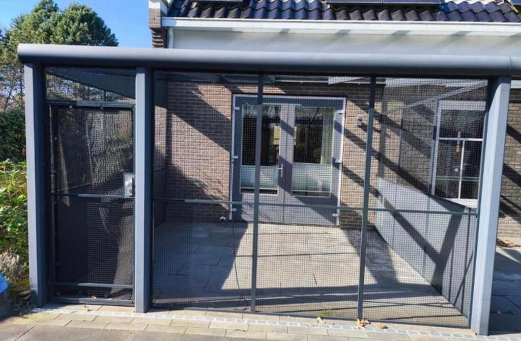 Kattenren zwart voilerre, Tuin en Terras, Ophalen of Verzenden, Zo goed als nieuw