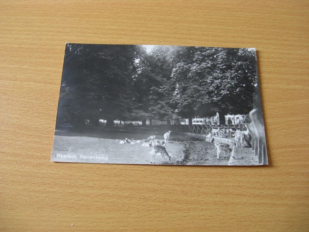 Haarlem Hertenkamp 6, Ophalen of Verzenden, Voor 1920, Ongelopen, Noord-Brabant