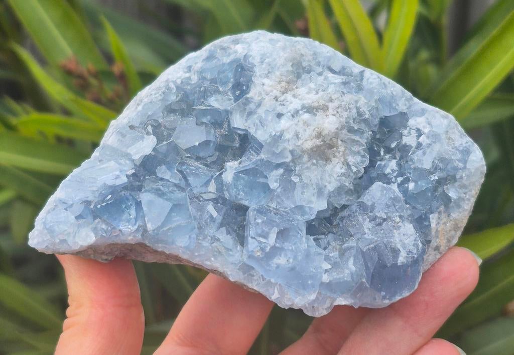 Celestien, Verzamelen, Mineralen en Fossielen, Ophalen of Verzenden