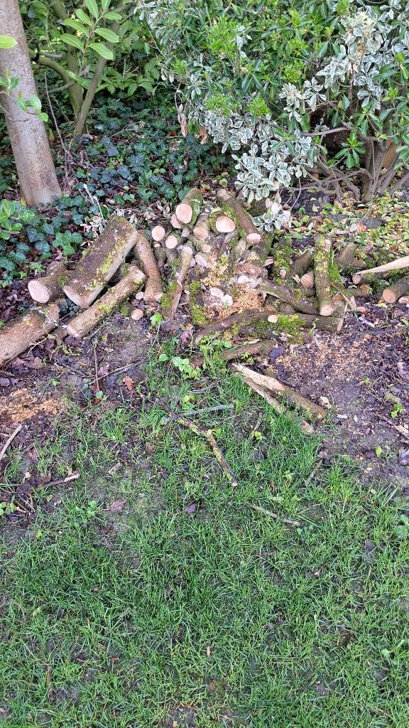 haardhout van veld esdoorn, Minder dan 3 m³, Ophalen