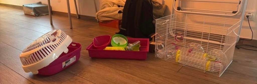 Verkope hamsterkooi, Minder dan 60 cm, Kooi, Minder dan 75 cm, Ophalen of Verzenden