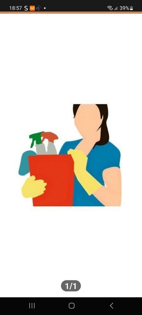 Schoonmaakster en huishoudelijk hulp, Vanaf 10 jaar, Overige vormen