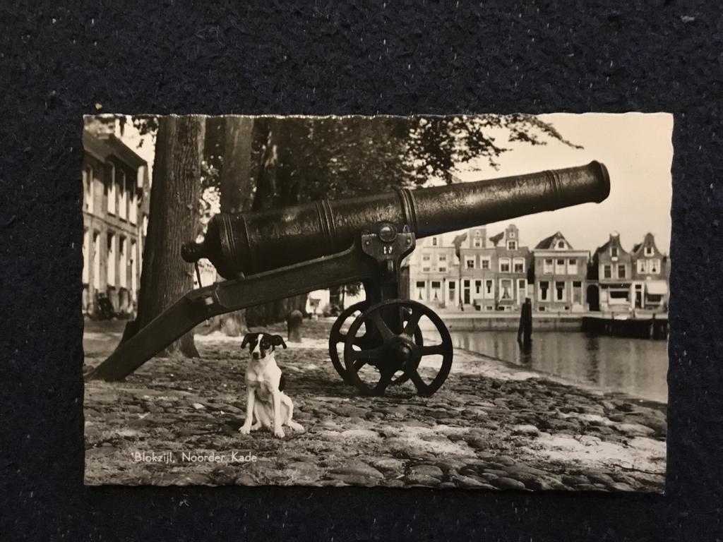 Oude Ansicht Blokzijl, Noorder Kade met kanon en hond, Verzamelen, Ophalen of Verzenden, 1920 tot 1940, Ongelopen, Overijssel