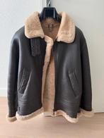 Piloten Jack, Maat 52/54 (L), Bruin, Nieuw, Ophalen of Verzenden