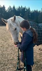 Bijrijdpony('s)/ verzorgpony('s) gezocht!, Ophalen of Verzenden, Nieuw