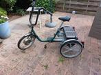 Sunny green, electrisch driewieler, Fietsen en Brommers, Fietsen | Driewielfietsen, Ophalen, Gebruikt