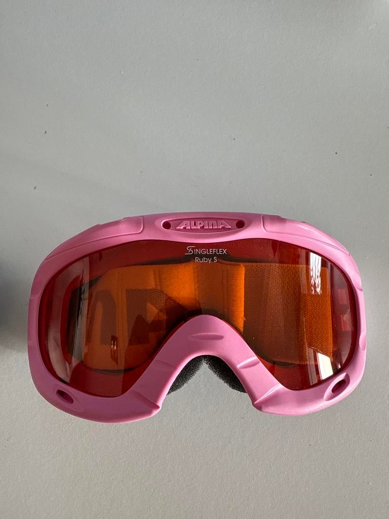 Skibril Alpina mast 2. Nieuw., Overige merken, Overige typen, Nieuw, Ophalen of Verzenden