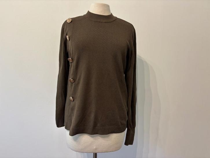 trui Studio Anneloes maat S, Kleding | Dames, Truien en Vesten, Nieuw, Maat 36 (S), Overige kleuren, Verzenden