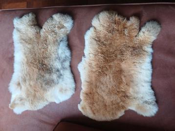 Twee superzachte konijnenvachtjes beschikbaar voor biedingen