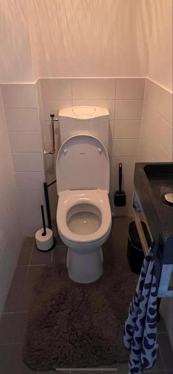 2x Geberit Toiletpotten - Zo Goed Als Nieuw beschikbaar voor biedingen