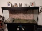 Te koop vis aquarium, Ophalen, Zo goed als nieuw, Terrarium of Paludarium