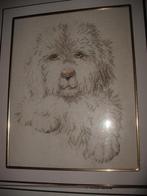 Geborduurd schilderijtje wit hondje in mooie lijst 29 x 24, Dieren en Toebehoren, Ophalen, Zo goed als nieuw