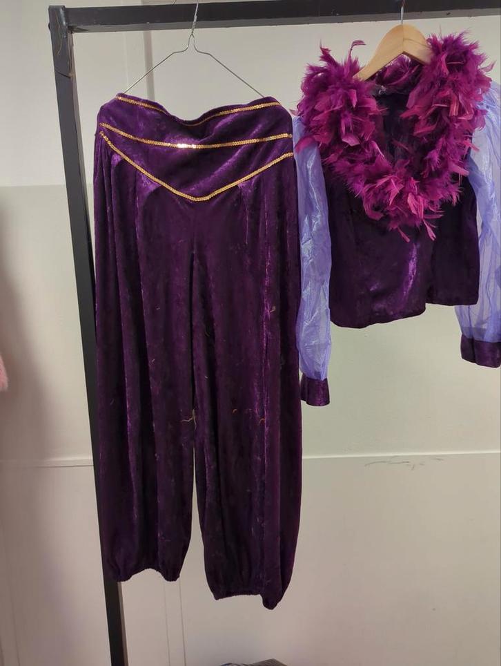 Paars Carnavalspak met Verenkraag, Kleding | Dames, Carnavalskleding en Feestkleding, Ophalen