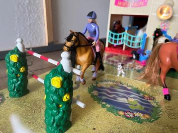 Schitterende paardenstal met paarden, hindernissen, ruiters beschikbaar voor biedingen
