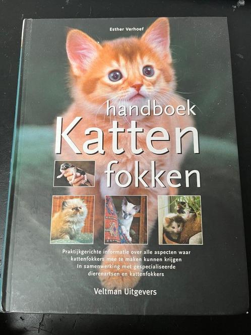 Handboek katten fokken, Boeken, Dieren en Huisdieren, Zo goed als nieuw, Katten, Ophalen of Verzenden
