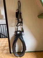 Haam met bijpassend hoofdstel, Dieren en Toebehoren, Ophalen, Zo goed als nieuw, Overige soorten
