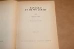Panokko en de Wildernis — Suriname — Anne de Vries, Ophalen of Verzenden, Gelezen