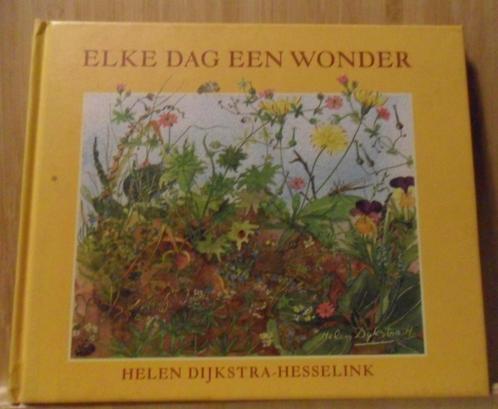 Elke dag een wonder, Helen Dijkstra-Hesselink, Boeken, Esoterie en Spiritualiteit, Zo goed als nieuw, Verzenden
