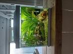 Guppy's met Auqarium en Spullen, Dieren en Toebehoren, Ophalen, Nieuw, Terrarium of Paludarium