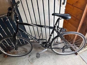 Mooie Stevens citybike  beschikbaar voor biedingen