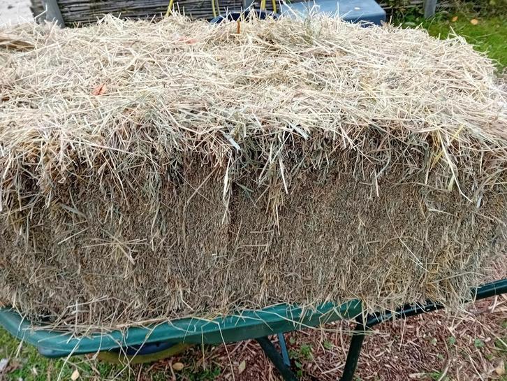 hooi, Dieren en Toebehoren, Dierenvoeding, Vee, Ophalen