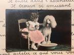 Meisje doet de hond in bad - poedel (IT), Ophalen of Verzenden, Voor 1920, Gelopen, Kinderen